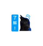 みんなよ鳥フォトLINEスタンプ②（個別スタンプ：38）