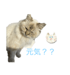 ふわちゃんセット！（個別スタンプ：15）