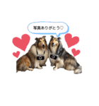 キリバアカデミー（個別スタンプ：2）