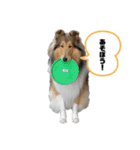 キリバアカデミー（個別スタンプ：4）