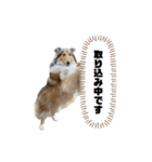 キリバアカデミー（個別スタンプ：5）