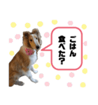 キリバアカデミー（個別スタンプ：6）
