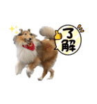 キリバアカデミー（個別スタンプ：11）