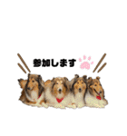 キリバアカデミー（個別スタンプ：16）