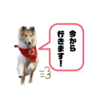 キリバアカデミー（個別スタンプ：18）