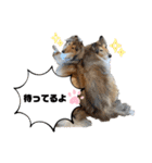 キリバアカデミー（個別スタンプ：20）