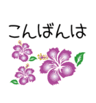 ＜夏＞アロハ ハイビスカス Aloha Hibiscus（個別スタンプ：3）