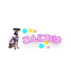 mini-PIN Sticker 2023（個別スタンプ：2）