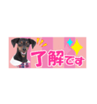 mini-PIN Sticker 2023（個別スタンプ：4）