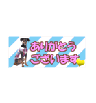 mini-PIN Sticker 2023（個別スタンプ：5）