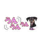 mini-PIN Sticker 2023（個別スタンプ：6）