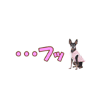 mini-PIN Sticker 2023（個別スタンプ：7）