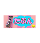 mini-PIN Sticker 2023（個別スタンプ：8）