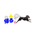 mini-PIN Sticker 2023（個別スタンプ：9）