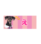 mini-PIN Sticker 2023（個別スタンプ：10）