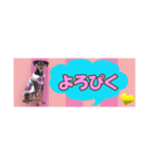 mini-PIN Sticker 2023（個別スタンプ：12）