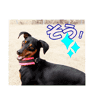 mini-PIN Sticker 2023（個別スタンプ：13）