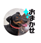 mini-PIN Sticker 2023（個別スタンプ：15）