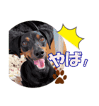 mini-PIN Sticker 2023（個別スタンプ：16）