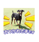 mini-PIN Sticker 2023（個別スタンプ：17）