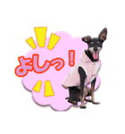 mini-PIN Sticker 2023（個別スタンプ：18）