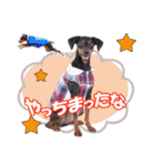mini-PIN Sticker 2023（個別スタンプ：20）