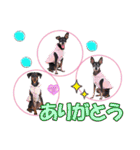 mini-PIN Sticker 2023（個別スタンプ：21）