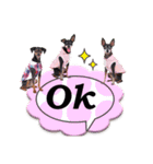 mini-PIN Sticker 2023（個別スタンプ：23）