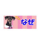 mini-PIN Sticker 2023（個別スタンプ：25）