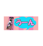 mini-PIN Sticker 2023（個別スタンプ：27）