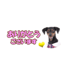 mini-PIN Sticker 2023（個別スタンプ：33）