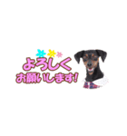mini-PIN Sticker 2023（個別スタンプ：34）