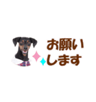 mini-PIN Sticker 2023（個別スタンプ：35）