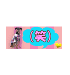 mini-PIN Sticker 2023（個別スタンプ：36）