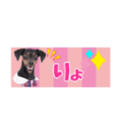 mini-PIN Sticker 2023（個別スタンプ：37）