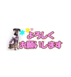 mini-PIN Sticker 2023（個別スタンプ：39）