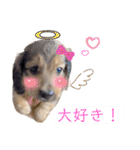 kawaii animal⋆⸜♱⸝‍⋆（個別スタンプ：2）