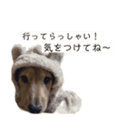 kawaii animal⋆⸜♱⸝‍⋆（個別スタンプ：5）