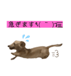 kawaii animal⋆⸜♱⸝‍⋆（個別スタンプ：8）