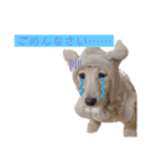 kawaii animal⋆⸜♱⸝‍⋆（個別スタンプ：11）