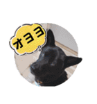 ウルトラ 7☆（個別スタンプ：18）
