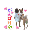 ウルトラ 7☆（個別スタンプ：19）