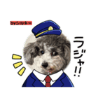 トイプのシルキーちゃん（個別スタンプ：4）