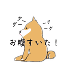 しば犬ちゃんの4（個別スタンプ：2）