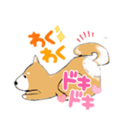 しば犬ちゃんの4（個別スタンプ：5）