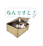 aonecoメッセージスタンプ（個別スタンプ：12）