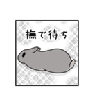 もしも、うさぎと一緒なら 第3弾（個別スタンプ：8）