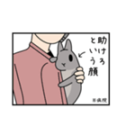 もしも、うさぎと一緒なら 第3弾（個別スタンプ：21）