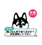 KIKI sticker79（個別スタンプ：4）
