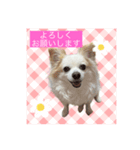 プリンセス・プリンちゃん（個別スタンプ：7）